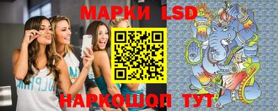 шишки Краснодар
