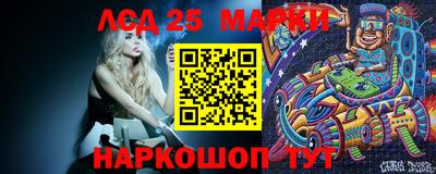 шишки Краснодар